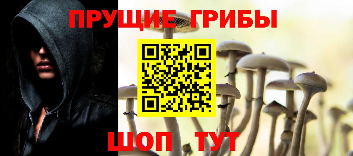 Галлюциногенные грибы Psilocybe  Вход с VPN  Рославль 